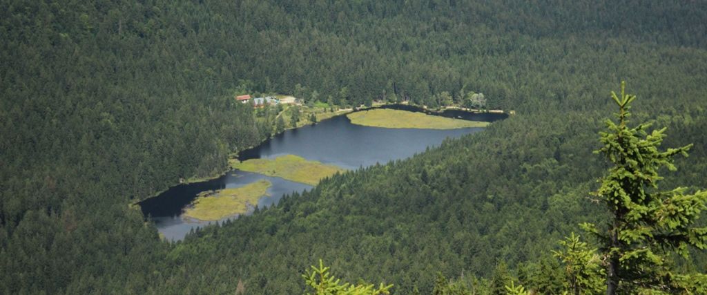 Kleiner Arbersee Vogelperspektive