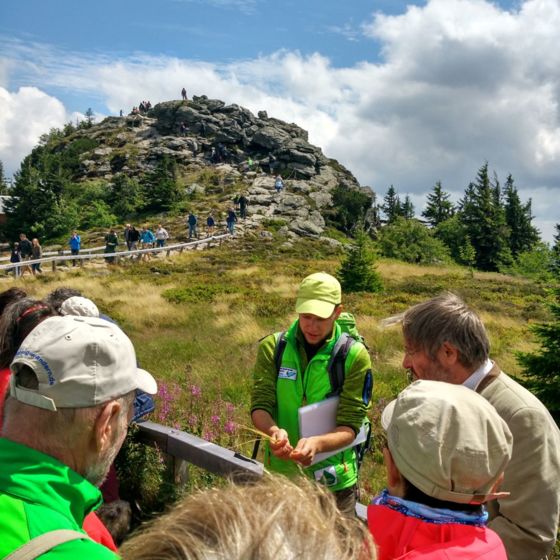 Führung der Gebietsbetreuung am Arber. Bildautor Naturpark