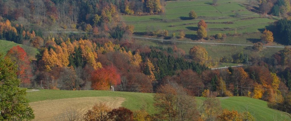 Vorderer Bayerischer Wald Vorderer Bayerischer Wald
