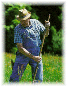 Farmer Farmer